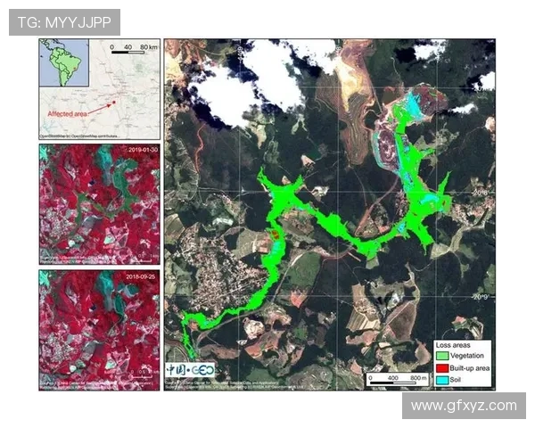 面向国家安全与灾害防控的星空地一体化遥感监测系统建设与应用研究
