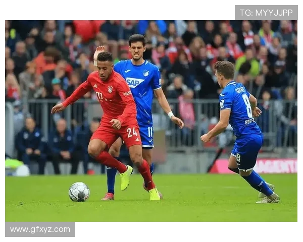 霍芬海姆主场迎战勒沃库森德甲强强对话走势解析焦点之战前夜