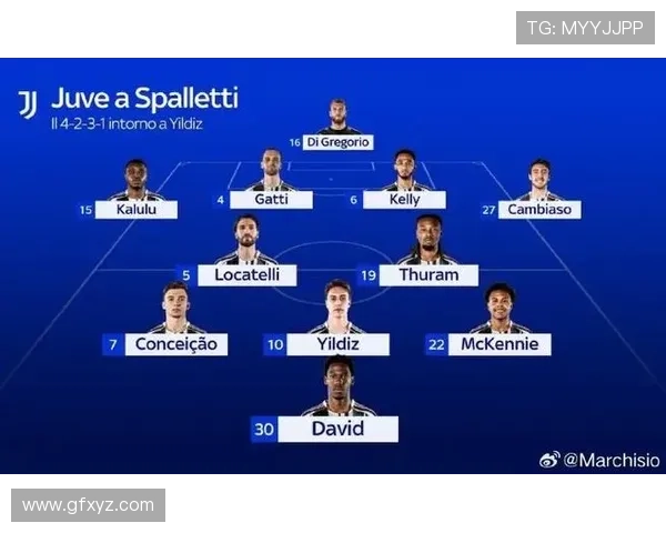 意甲联赛新赛季豪门争锋战术革新与年轻力量崛起观察全景解析趋势